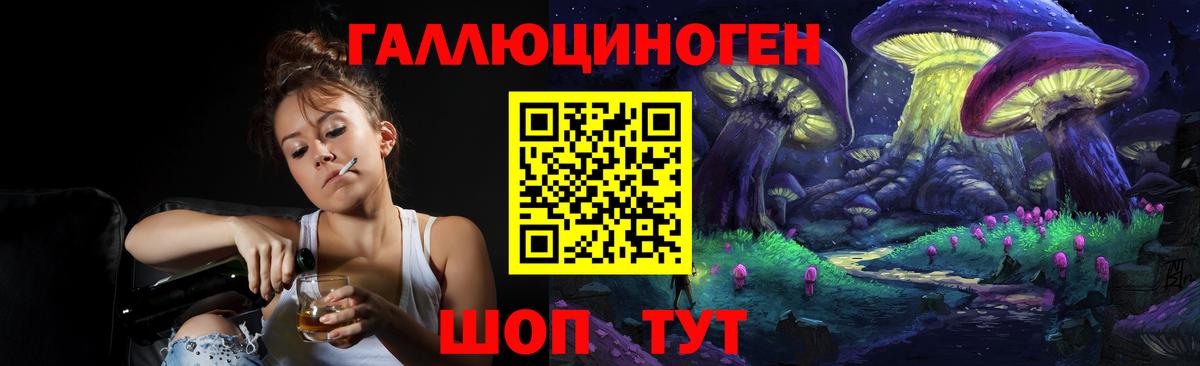 Галлюциногенные грибы мухоморы Богданович