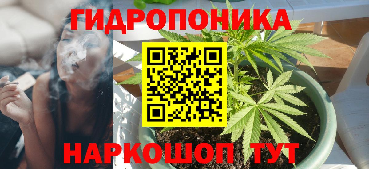 Шишки марихуана планчик Богданович